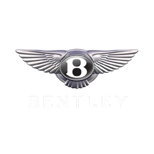 Vehicle logo